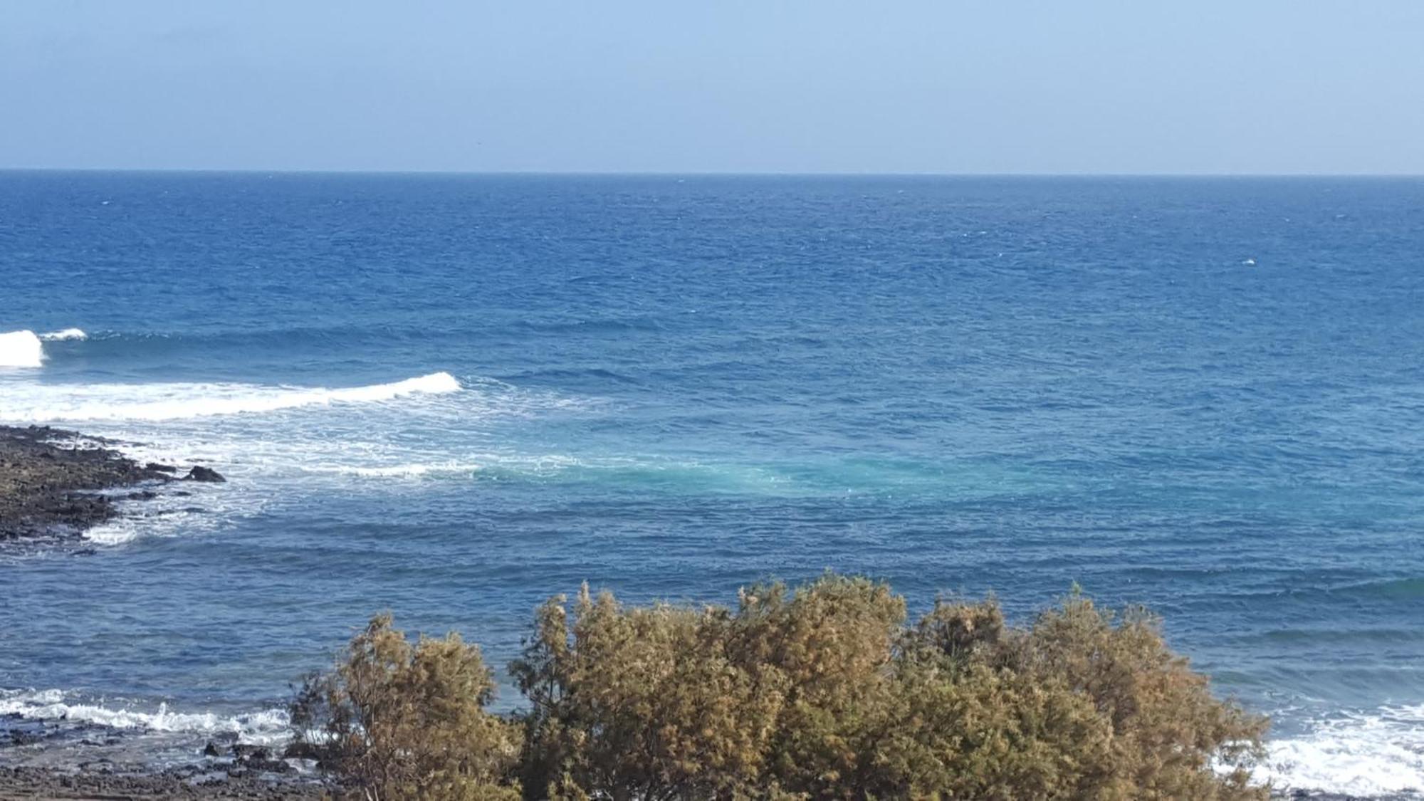 Sinestesia Oceanica * Puerto del Rosario (Fuerteventura)